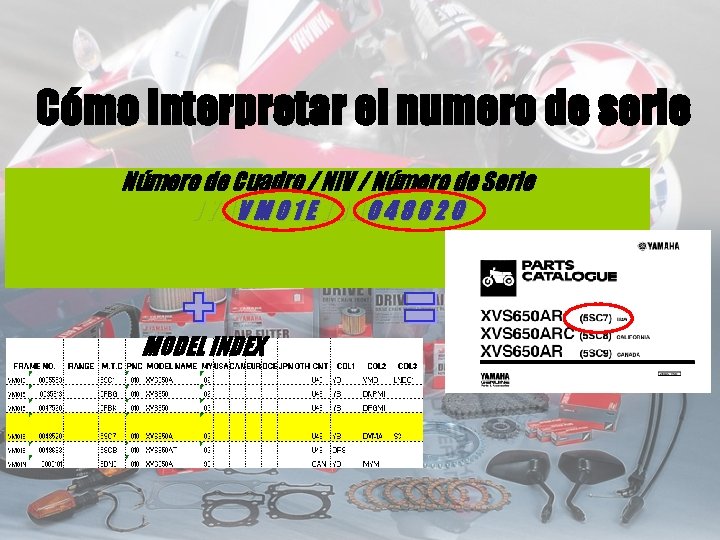 Cómo Interpretar el numero de serie Número de Cuadro / NIV / Número de