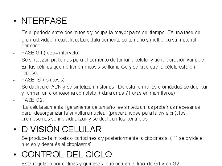  • INTERFASE Es el periodo entre dos mitosis y ocupa la mayor parte