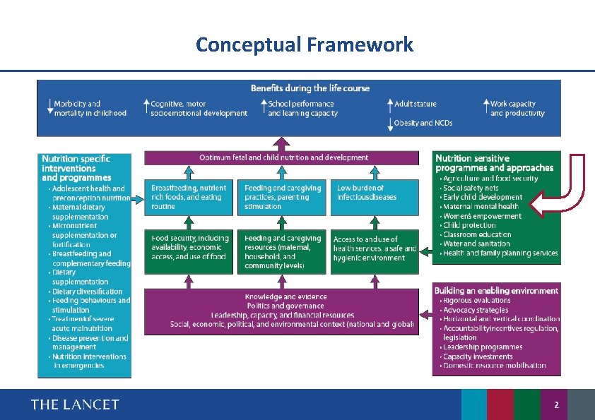 Conceptual Framework 2 