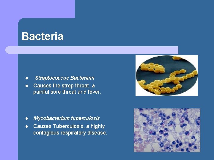 Bacteria l Streptococcus Bacterium Causes the strep throat, a painful sore throat and fever.