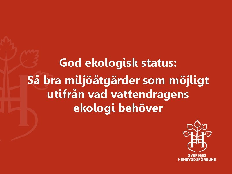 God ekologisk status: Så bra miljöåtgärder som möjligt utifrån vad vattendragens ekologi behöver 