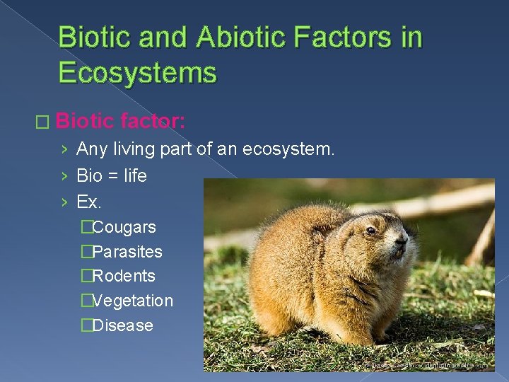 Science 10 Biology Chapter 2 Biotic and Abiotic