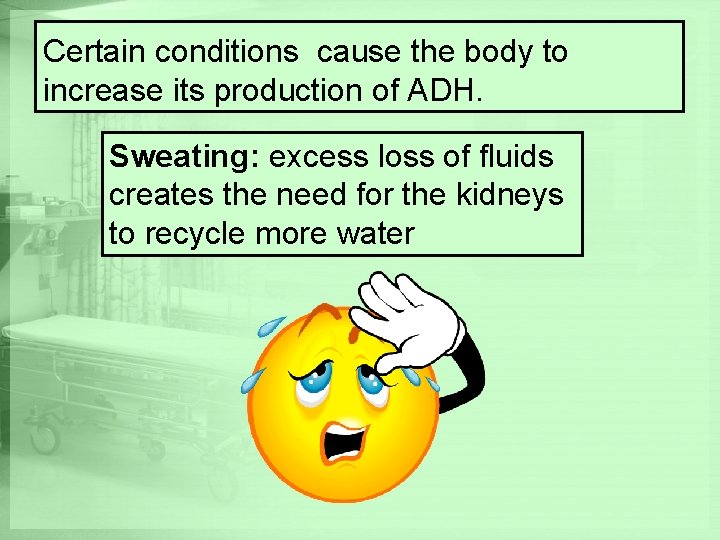 Certain conditions cause the body to increase its production of ADH. Sweating: excess loss