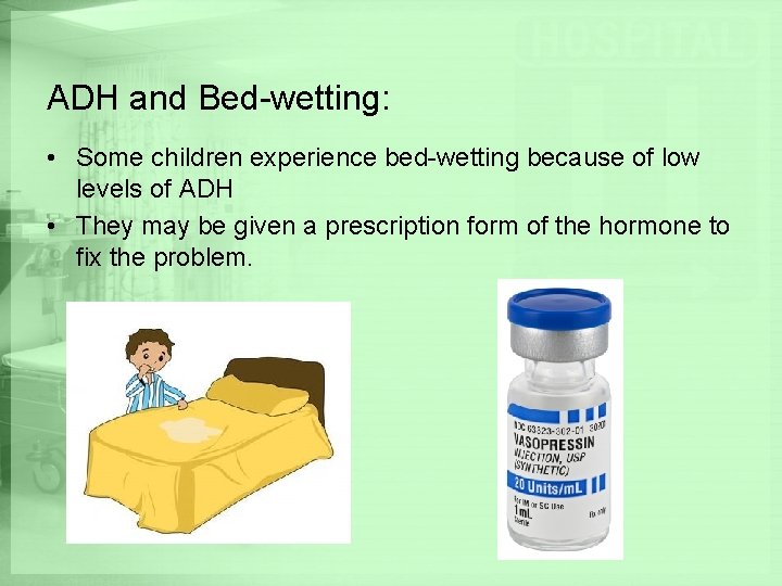 ADH and Bed-wetting: • Some children experience bed-wetting because of low levels of ADH