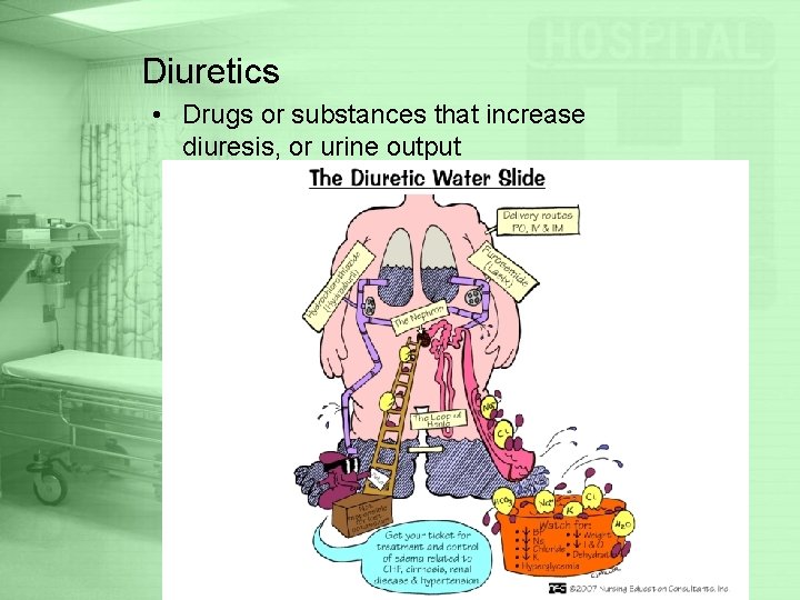 Diuretics • Drugs or substances that increase diuresis, or urine output 