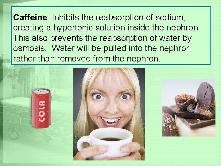 Caffeine: Inhibits the reabsorption of sodium, creating a hypertonic solution inside the nephron. This