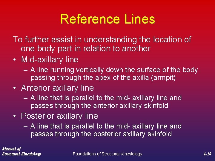 Reference Lines To further assist in understanding the location of one body part in