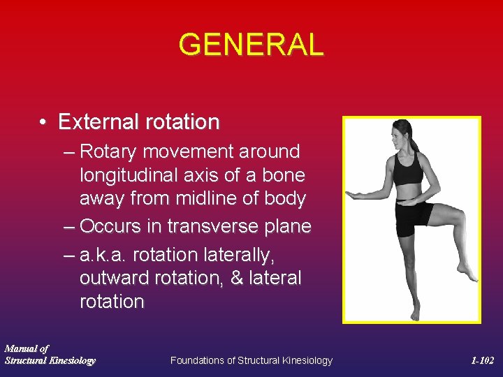 GENERAL • External rotation – Rotary movement around longitudinal axis of a bone away
