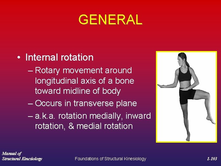 GENERAL • Internal rotation – Rotary movement around longitudinal axis of a bone toward