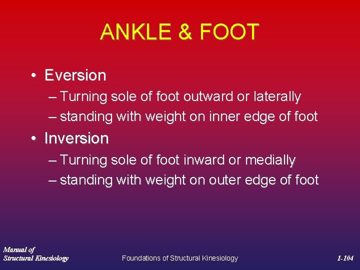 ANKLE & FOOT • Eversion – Turning sole of foot outward or laterally –