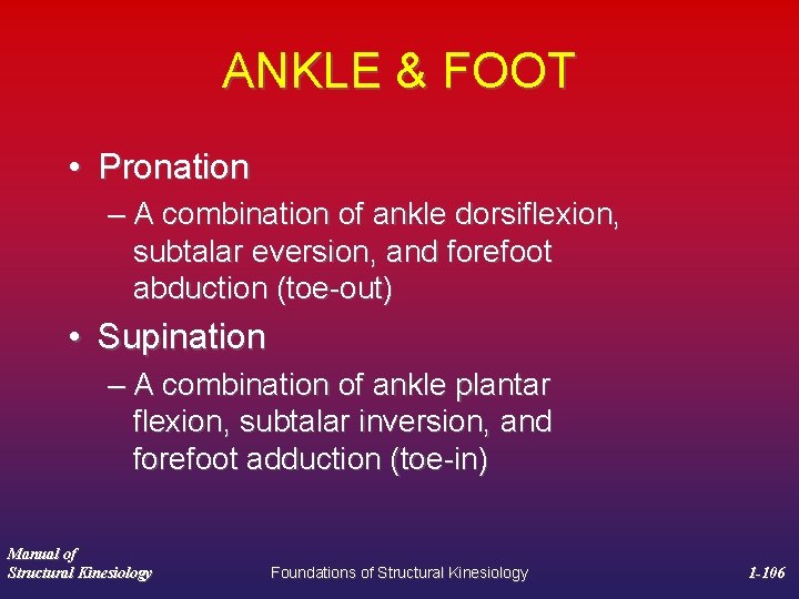 ANKLE & FOOT • Pronation – A combination of ankle dorsiﬂexion, subtalar eversion, and