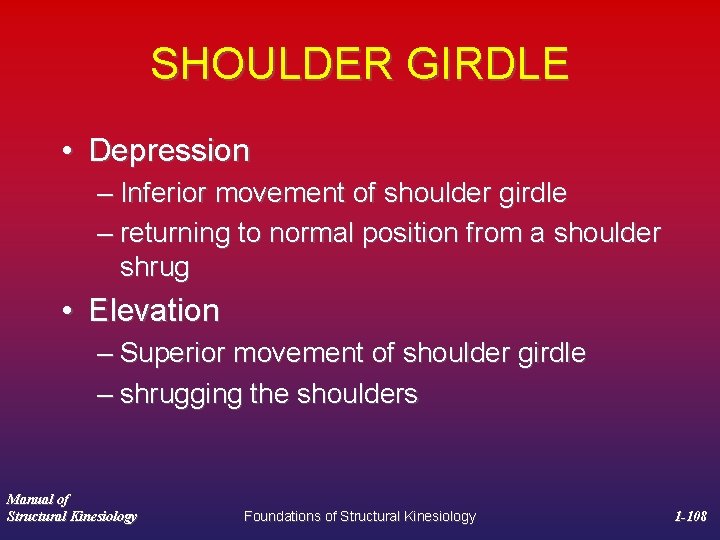 SHOULDER GIRDLE • Depression – Inferior movement of shoulder girdle – returning to normal