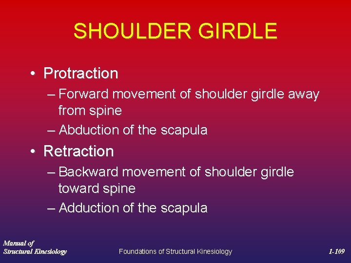 SHOULDER GIRDLE • Protraction – Forward movement of shoulder girdle away from spine –