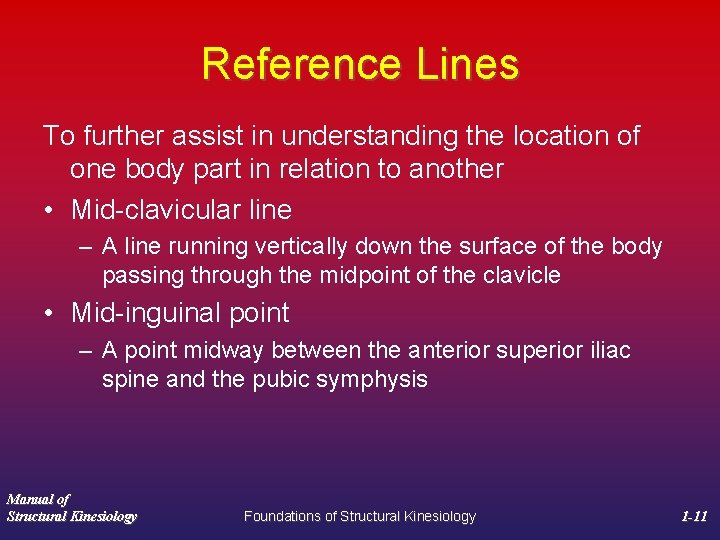 Reference Lines To further assist in understanding the location of one body part in