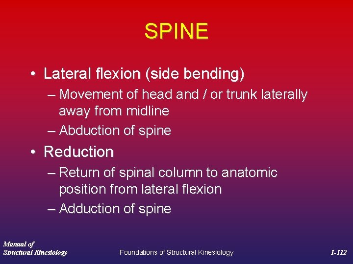 SPINE • Lateral flexion (side bending) – Movement of head and / or trunk