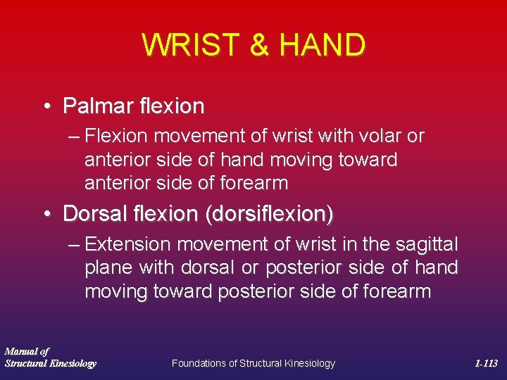 WRIST & HAND • Palmar flexion – Flexion movement of wrist with volar or