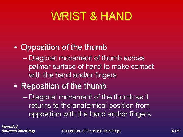 WRIST & HAND • Opposition of the thumb – Diagonal movement of thumb across