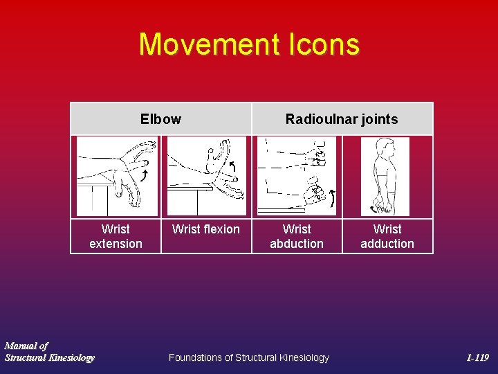 Movement Icons Elbow Wrist extension Manual of Structural Kinesiology Wrist flexion Radioulnar joints Wrist