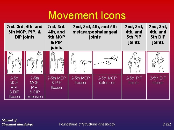 Movement Icons 2 nd, 3 rd, 4 th, and 5 th MCP, PIP, &