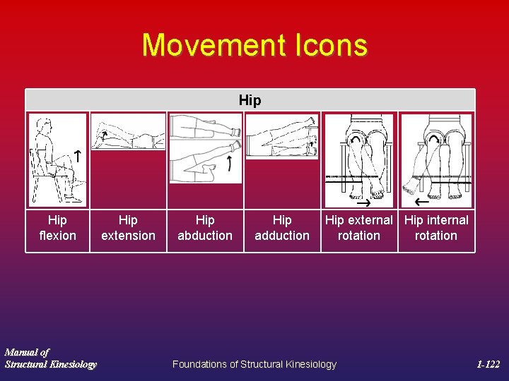 Movement Icons Hip flexion Manual of Structural Kinesiology Hip extension Hip abduction Hip adduction