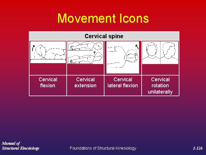 Movement Icons Cervical spine Cervical flexion Manual of Structural Kinesiology Cervical extension Cervical lateral