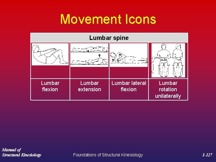 Movement Icons Lumbar spine Lumbar flexion Manual of Structural Kinesiology Lumbar extension Lumbar lateral