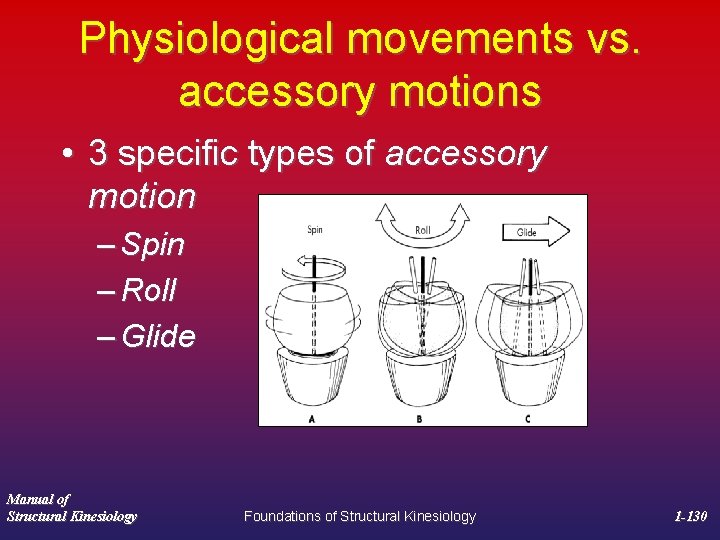 Physiological movements vs. accessory motions • 3 specific types of accessory motion – Spin