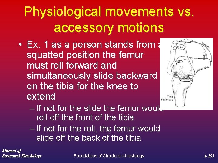 Physiological movements vs. accessory motions • Ex. 1 as a person stands from a