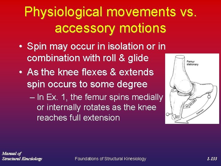 Physiological movements vs. accessory motions • Spin may occur in isolation or in combination