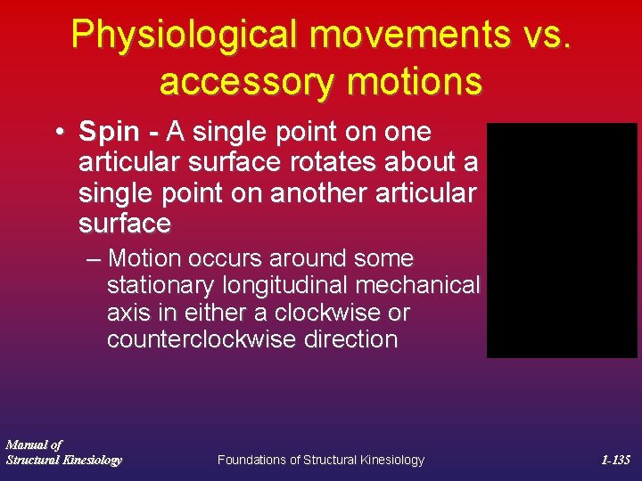 Physiological movements vs. accessory motions • Spin - A single point on one articular