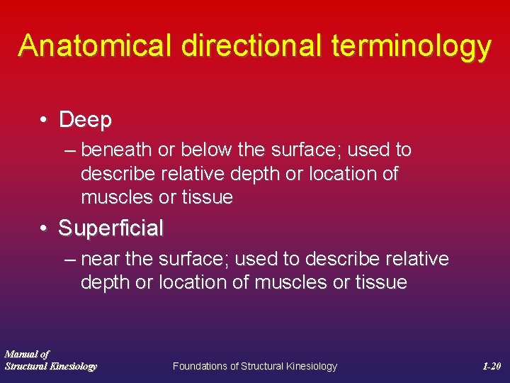 Anatomical directional terminology • Deep – beneath or below the surface; used to describe