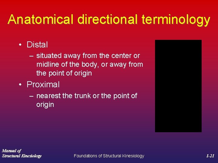 Anatomical directional terminology • Distal – situated away from the center or midline of