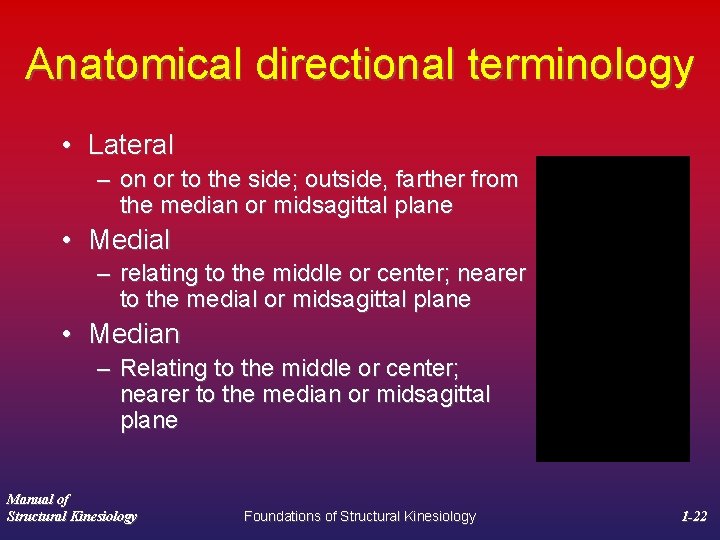 Anatomical directional terminology • Lateral – on or to the side; outside, farther from