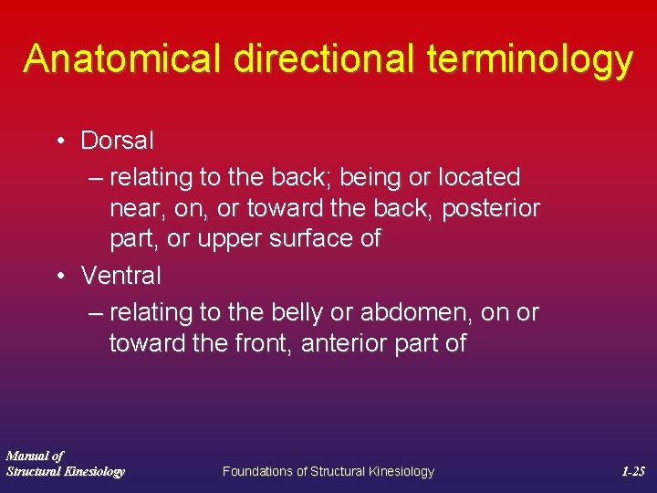 Anatomical directional terminology • Dorsal – relating to the back; being or located near,