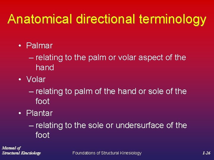 Anatomical directional terminology • Palmar – relating to the palm or volar aspect of