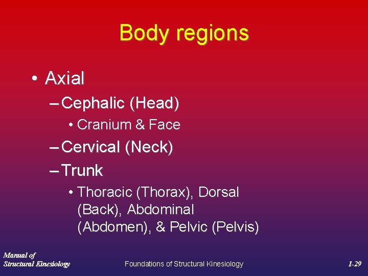 Body regions • Axial – Cephalic (Head) • Cranium & Face – Cervical (Neck)