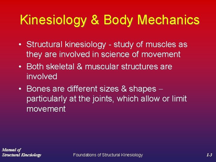 Kinesiology & Body Mechanics • Structural kinesiology - study of muscles as they are