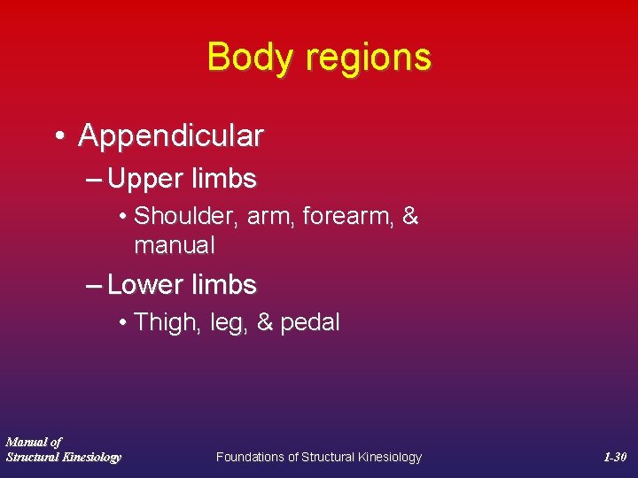 Body regions • Appendicular – Upper limbs • Shoulder, arm, forearm, & manual –