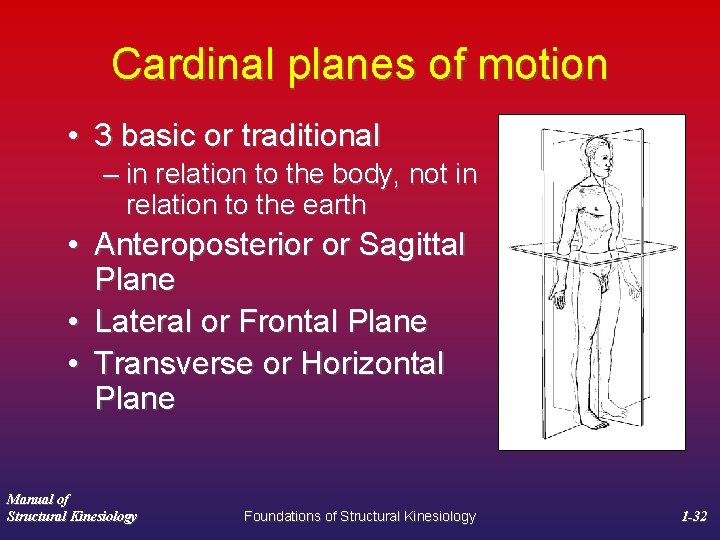 Cardinal planes of motion • 3 basic or traditional – in relation to the