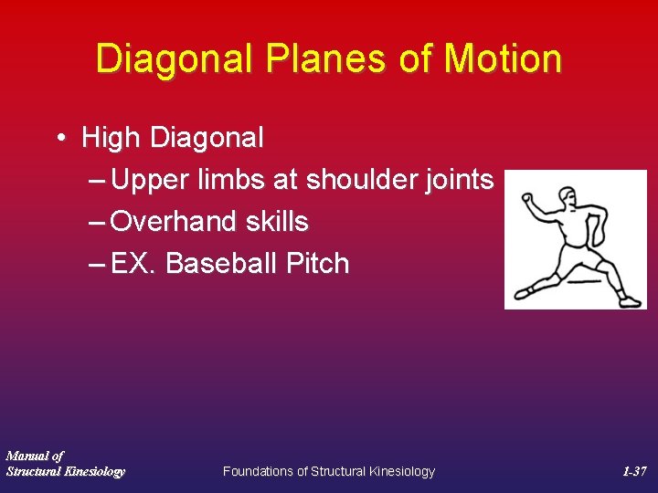 Diagonal Planes of Motion • High Diagonal – Upper limbs at shoulder joints –