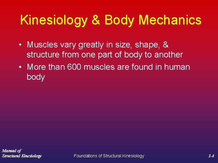 Kinesiology & Body Mechanics • Muscles vary greatly in size, shape, & structure from