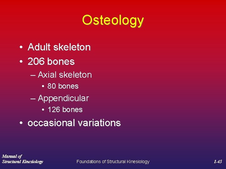 Osteology • Adult skeleton • 206 bones – Axial skeleton • 80 bones –