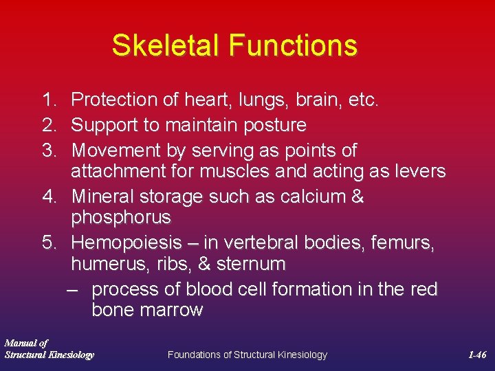 Skeletal Functions 1. 2. 3. Protection of heart, lungs, brain, etc. Support to maintain