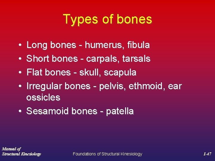 Types of bones • • Long bones - humerus, fibula Short bones - carpals,