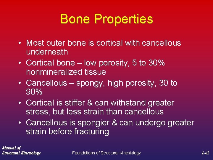 Bone Properties • Most outer bone is cortical with cancellous underneath • Cortical bone
