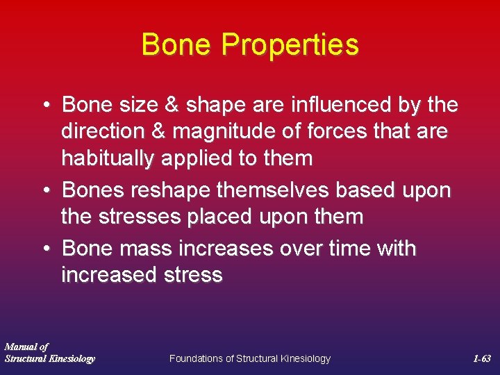 Bone Properties • Bone size & shape are influenced by the direction & magnitude