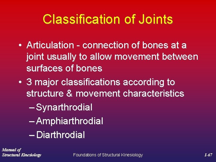 Classification of Joints • Articulation - connection of bones at a joint usually to