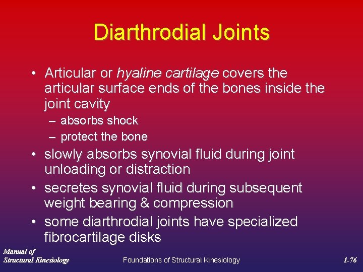 Diarthrodial Joints • Articular or hyaline cartilage covers the articular surface ends of the