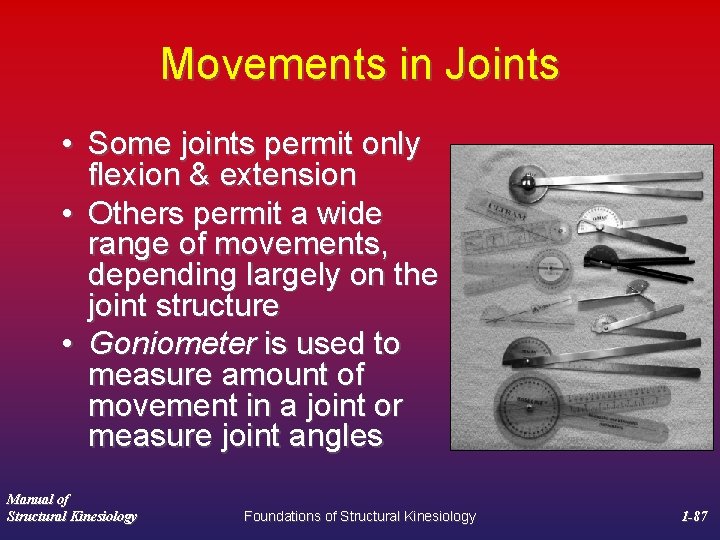 Movements in Joints • Some joints permit only flexion & extension • Others permit