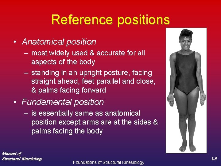 Reference positions • Anatomical position – most widely used & accurate for all aspects